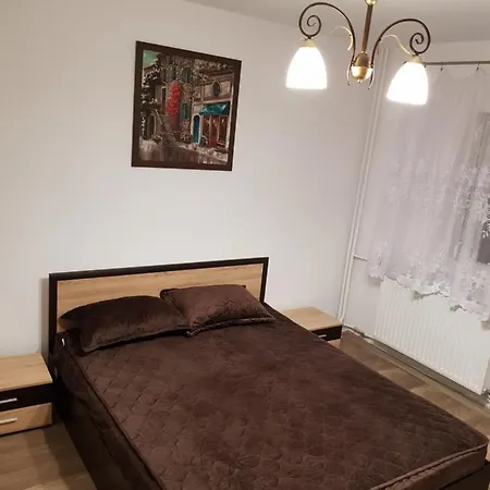 Apartamentul Maria Oradea Exterior foto